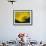 Lemon Tulip-Ella Lancaster-Framed Giclee Print displayed on a wall