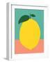 Lemon with Two Leaves-Rosi Feist-Framed Giclee Print