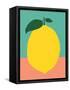 Lemon with Two Leaves-Rosi Feist-Framed Stretched Canvas