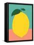 Lemon with Two Leaves-Rosi Feist-Framed Stretched Canvas