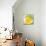 Lemon-Irena Orlov-Mounted Art Print displayed on a wall