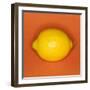 Lemon-null-Framed Photographic Print