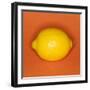 Lemon-null-Framed Photographic Print