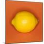 Lemon-null-Mounted Photographic Print