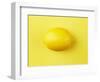 Lemon-null-Framed Photographic Print