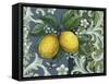 Lemon-Maria Rytova-Framed Stretched Canvas