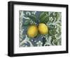 Lemon-Maria Rytova-Framed Giclee Print