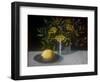 Lemon-ELEANOR FEIN-Framed Premium Giclee Print