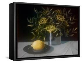 Lemon-ELEANOR FEIN-Framed Stretched Canvas