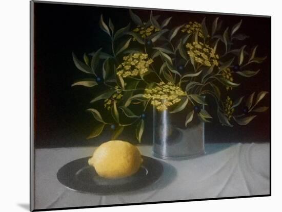 Lemon-ELEANOR FEIN-Mounted Giclee Print