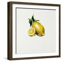 Lemon-Sydney Edmunds-Framed Giclee Print