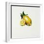 Lemon-Sydney Edmunds-Framed Giclee Print