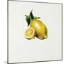 Lemon-Sydney Edmunds-Mounted Giclee Print