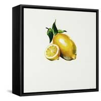 Lemon-Sydney Edmunds-Framed Stretched Canvas