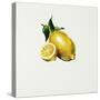 Lemon-Sydney Edmunds-Stretched Canvas