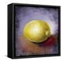 Lemon-Lanie Loreth-Framed Stretched Canvas