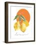 Lemon-Carol Robinson-Framed Art Print