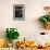 Lemonade From The Top Shelf-Dina Belenko-Framed Giclee Print displayed on a wall