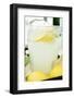 Lemonade in a Glass Jug with Slices of Lemon-Foodcollection-Framed Photographic Print