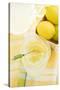 Lemonade in a Glass with a Lemon Slice on a Cocktail Stick-Foodcollection-Stretched Canvas