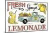 Lemonade Stand I-Anne Tavoletti-Mounted Art Print