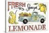 Lemonade Stand I-Anne Tavoletti-Stretched Canvas