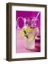 Lemonade with Ice Cubes and Lemon Balm-Foodcollection-Framed Photographic Print