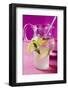 Lemonade with Ice Cubes and Lemon Balm-Foodcollection-Framed Photographic Print