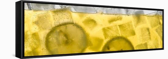 Lemonade-Steve Gadomski-Framed Stretched Canvas