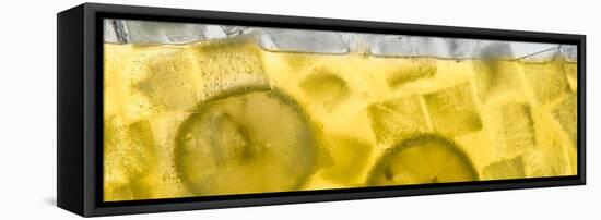 Lemonade-Steve Gadomski-Framed Stretched Canvas