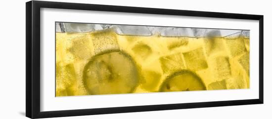 Lemonade-Steve Gadomski-Framed Photographic Print