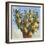 Lemonade-Jacob Q-Framed Art Print