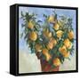 Lemonade-Jacob Q-Framed Stretched Canvas