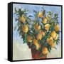 Lemonade-Jacob Q-Framed Stretched Canvas