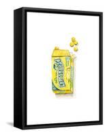 Lemonheads-Stacy Milrany-Framed Stretched Canvas