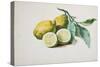 Lemons, 1840-Pierre-Joseph Redouté-Stretched Canvas
