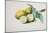 Lemons, 1840-Pierre-Joseph Redouté-Mounted Giclee Print