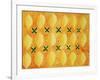 Lemons, 2004-Julie Nicholls-Framed Giclee Print