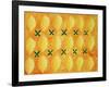 Lemons, 2004-Julie Nicholls-Framed Giclee Print