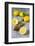 Lemons and Lemon Squeezer-Jana Ihle-Framed Photographic Print