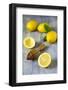 Lemons and Lemon Squeezer-Jana Ihle-Framed Photographic Print