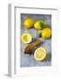 Lemons and Lemon Squeezer-Jana Ihle-Framed Photographic Print