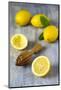 Lemons and Lemon Squeezer-Jana Ihle-Mounted Photographic Print