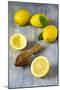 Lemons and Lemon Squeezer-Jana Ihle-Mounted Photographic Print