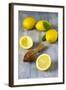 Lemons and Lemon Squeezer-Jana Ihle-Framed Photographic Print