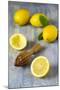 Lemons and Lemon Squeezer-Jana Ihle-Mounted Photographic Print