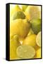 Lemons and Limes Close-Up-null-Framed Stretched Canvas