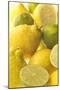 Lemons and Limes Close-Up-null-Mounted Photographic Print