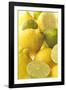 Lemons and Limes Close-Up-null-Framed Photographic Print