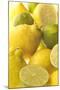 Lemons and Limes Close-Up-null-Mounted Photographic Print